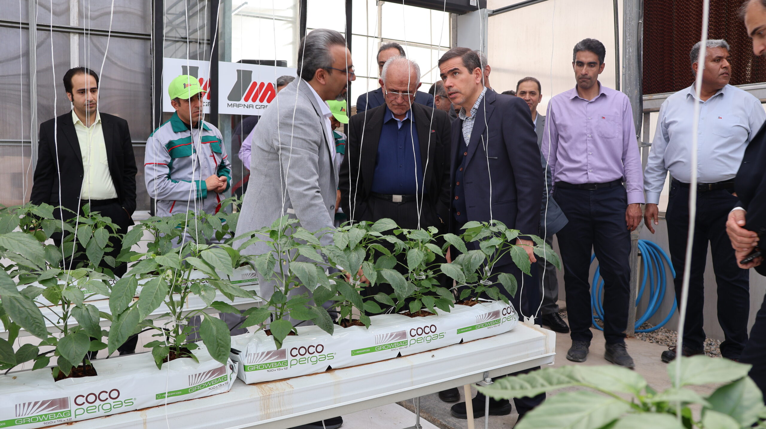 پروژه «Agreed» گناوه مپنا افتتاح شد؛ طرح ترکیبی کشاورزی و انرژی نوین